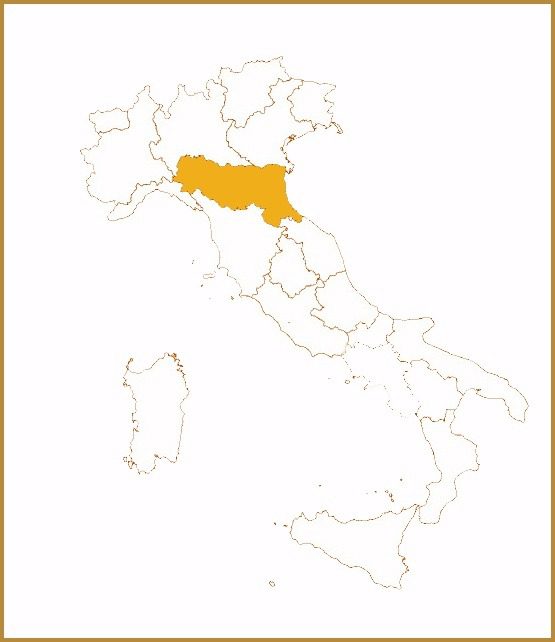 bolognaggg